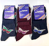 Жіночі шкарпетки класичні Метелик 23-25 р. (12 пар!) (Демісезонні) Варос, фото 2