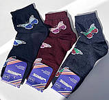 Жіночі шкарпетки класичні Метелик 23-25 р. (12 пар!) (Демісезонні) Варос, фото 9