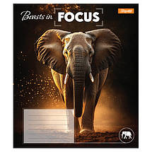 Зошит 24 арк. лінія "1 Вересня" / Beasts in Focus, фото 2