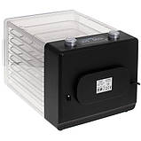 Харчовий дегідратор Adler AD 6660 – сушарка для фруктів, овочів, грибів, м'яса, 550 Вт, 5 піддонів, фото 6