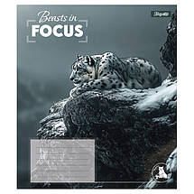 Зошит 24 арк. лінія "1 Вересня" / Beasts in Focus, фото 3