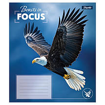 Зошит 24 арк. лінія "1 Вересня" / Beasts in Focus, фото 4