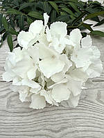 Штучна гортензія . Голівка штучної гортензії ( біла , 17 см ), фото 7