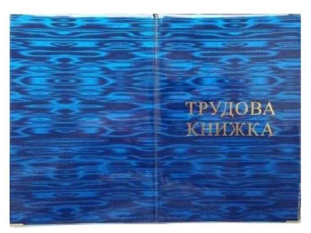 Обкладинка на трудову книжку синій 28-Тk Глянець ТМ Tascom BP, фото 1