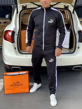 Спортивний костюм Puma stoner lacosta, фото 2