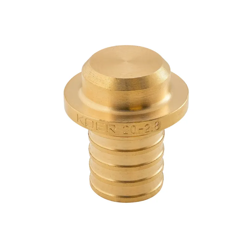 Заглушка Koer KA.P20 - 20(2.8mm) (KR4898), фото 1