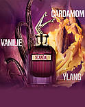 Парфумована вода для жінок Jean Paul Gaultier Scandal Intense Eau De Parfum 1.5 мл Пробник, фото 2