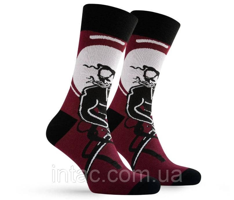 Шкарпетки патріотичні Premier Socks Козак-характерник, унісекс, розм. 42-43, фото 1