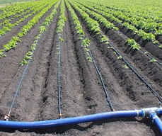 Стартер 32 мм для стрічки Туман ( 30шт/уп), фото 2