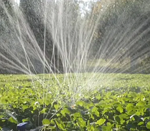 Стартер 32 мм для стрічки Туман ( 30шт/уп), фото 4