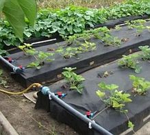 Кран стартовий з гумкою для стрічки крапельного поливу, фото 4