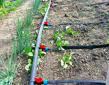 Кран стартовий з гумкою для стрічки крапельного поливу, фото 5