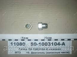 Гайка кріплення кришки клапанів Д-240, фото 1