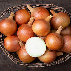 Цибуля Ібіс (Вінтерія) ТОР - 10 кг