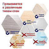 Кошик на вакуумних присосках подвійний s38 212×252×373 мм AQUATICA (9783832) riven, фото 5