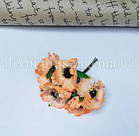 Мак дикий. Світло-помаранчевий.