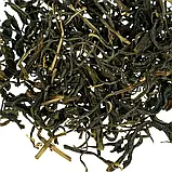 Жовтий чай «Хо Шань Хуан Да Ча» Міцний Медовий Аромат, 150 г, фото 6