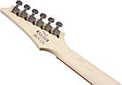Електрогітара IBANEZ RG421PB CHF, фото 8