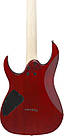 Електрогітара IBANEZ RG421PB CHF, фото 5