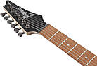 Електрогітара IBANEZ RG421PB CHF, фото 7