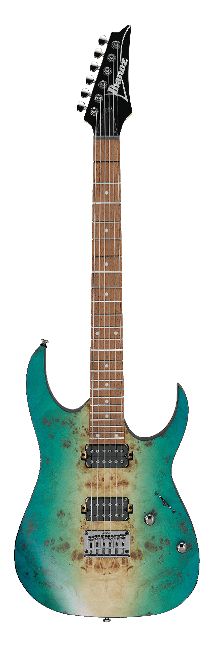 Електрогітара IBANEZ RG421PB CHF, фото 1