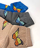 Жіночі шкарпетки класичні Метелик 23-25 р. (12 пар!) (Демісезонні) Варос, фото 5