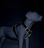 Шлейка для собак, фото 7