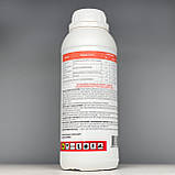 Гербіцид Чистопол 1 л ProtectOn, фото 3