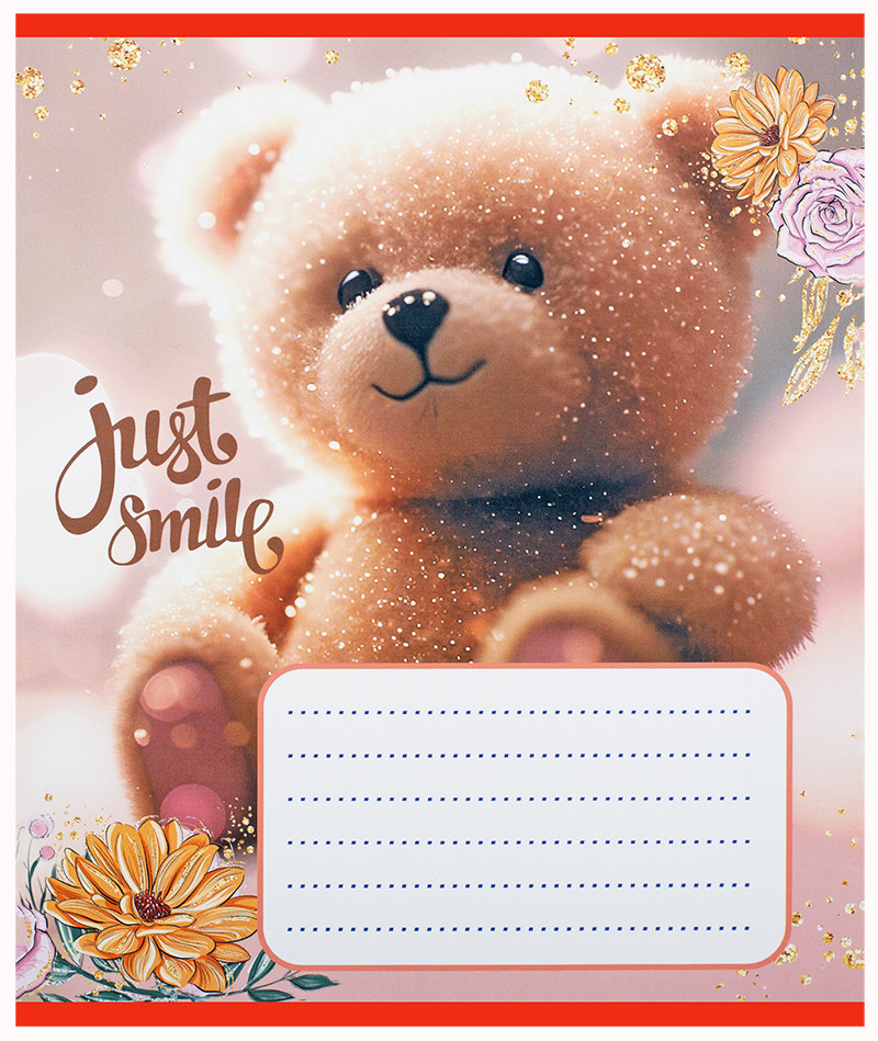 Зошит шкільний Leader Милі Тедді А5 коса лінія з додатковою