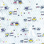 Комплект на дівчинку футболка та шорти Котик 03.10.02, фото 4