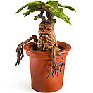 Фігурка HARRY POTTER Mandrake- Magical Creatures №17 (Гаррі Поттер), фото 2