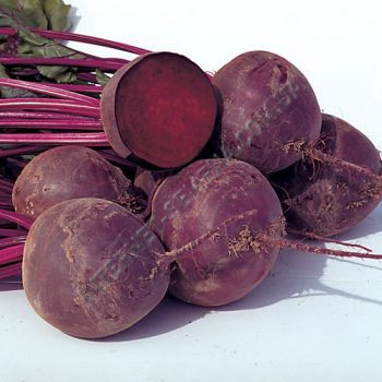 Вода F1 буряк 5000 шт, Bejo Zaden