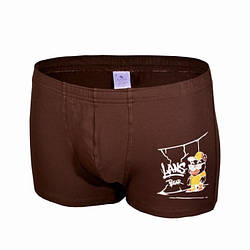 Чоловічі труси шорти Lans 07/027 Ведмідь шоколад