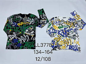 Реглан для хлопчика оптом, Sincere, 134-164 рр., Арт. LL-3778