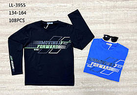 Реглан для хлопчика оптом, Sincere, 134-164 рр., Арт. LL-3955