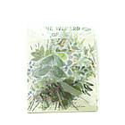 Висічки Наклейки Листя 40 шт NKL143, фото 2