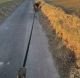 Повідець автоматичний 5м/15кг Purlov 19788-Автоматична стрічка для повідка із замком до 15 кг, фото 9