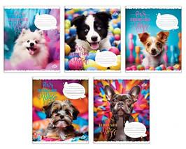 Зошит 18 арк. клітинка "Бріск" / Мiй друг