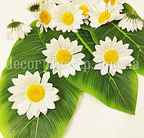 Головка ромашки 7см, біла