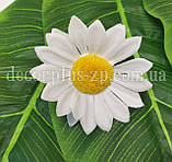 Головка ромашки 7см, біла, фото 3