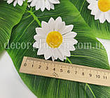 Головка ромашки 7см, біла, фото 4