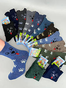 Дитячі шкарпетки 18-20 (28-32взуття) 10пар/уп.