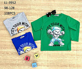 Реглан для хлопчика оптом, Sincere, 98-128 рр., Арт. LL-3952