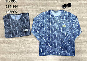 Реглан для хлопчика оптом, Sincere, 134-164 рр., Арт. LL-3958