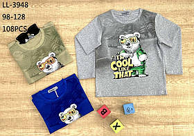Реглан для хлопчика оптом, Sincere, 98-128 рр., Арт. LL-3948