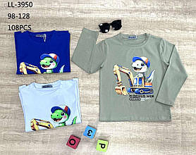 Реглан для хлопчика оптом, Sincere, 98-128 рр., Арт. LL-3950