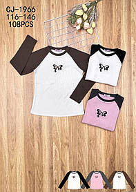 Реглан з мікроначосом для дівчаток оптом, Sincere, 116-146 рр., арт. CJ-1966