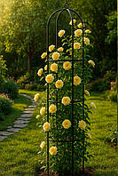 Арка садова (пергола) колоновидна садова 190*40*40 см Польща