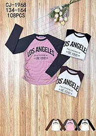 Реглан з мікроначосом для дівчаток оптом, Sincere, 134-164 рр., арт. CJ-1968