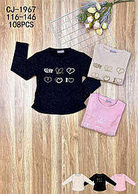 Реглан з мікроначосом для дівчаток оптом, Sincere, 116-146 рр., арт. CJ-1967